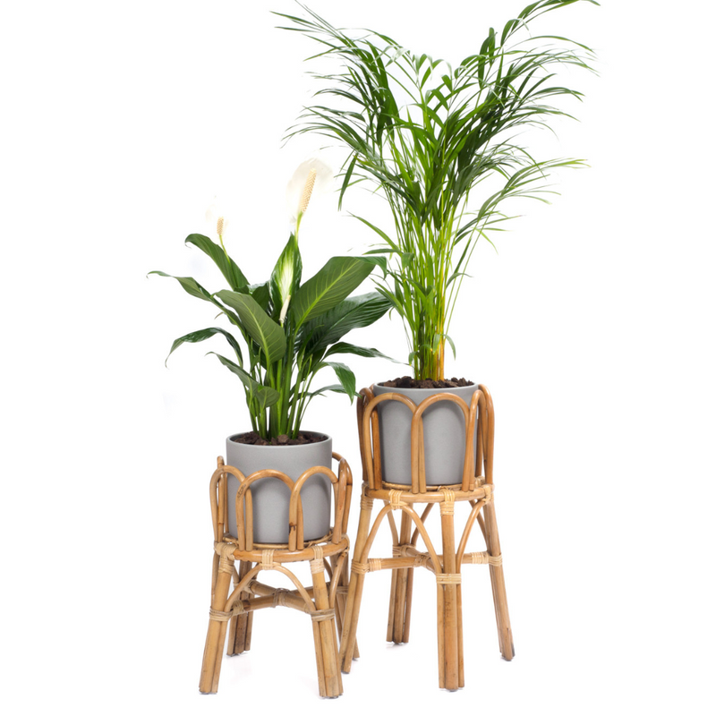 Sherbrooke Plant Stands: Set of 2